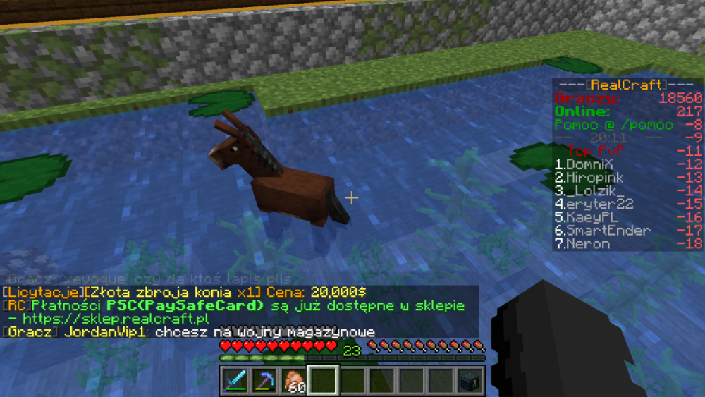 Minecraft_ 1.15.2 - Gra wieloosobowa (zewnętrzna) 06.05.2020 20_11_39.png