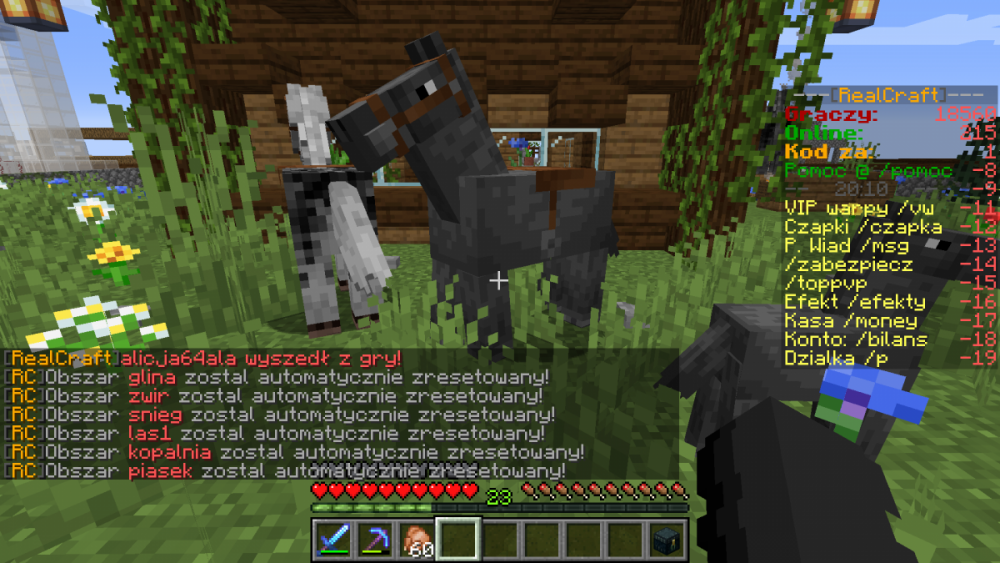 Minecraft_ 1.15.2 - Gra wieloosobowa (zewnętrzna) 06.05.2020 20_11_28.png