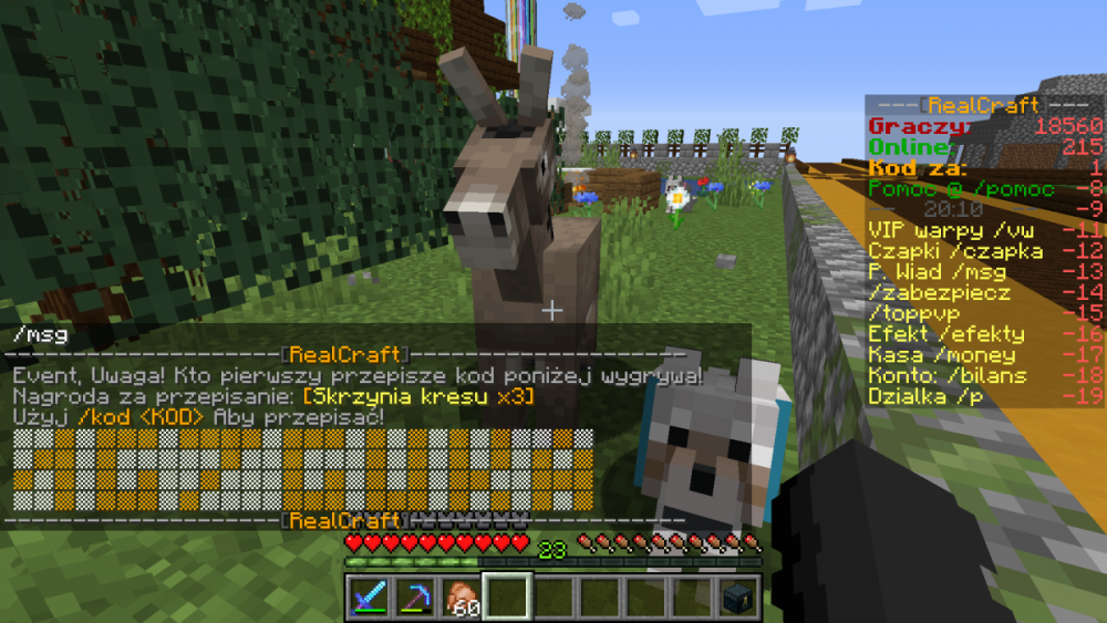 Minecraft_ 1.15.2 - Gra wieloosobowa (zewnętrzna) 06.05.2020 20_11_10.png