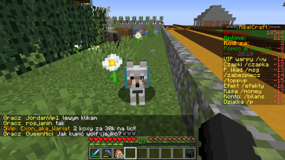 Minecraft_ 1.15.2 - Gra wieloosobowa (zewnętrzna) 06.05.2020 20_10_43.png