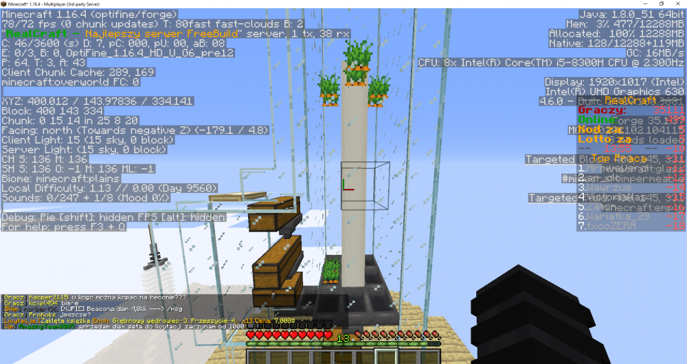 Minecraft_ 1.16.4 - Multiplayer (3rd-party Server) 29_01_2021 13_56_09.png