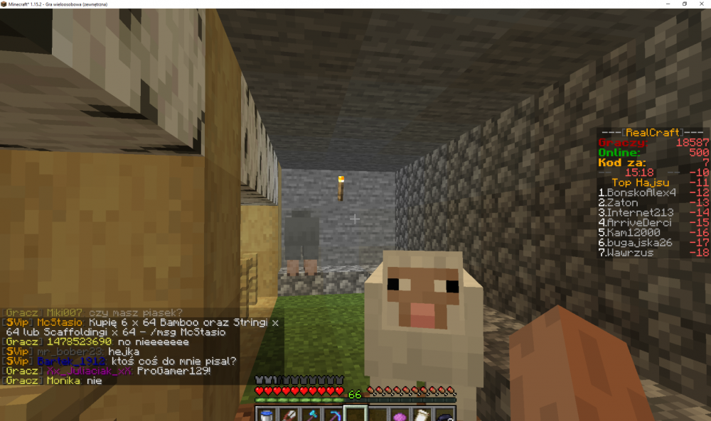 Minecraft_ 1.15.2 - Gra wieloosobowa (zewnętrzna) 2021-01-11 15_19_04.png