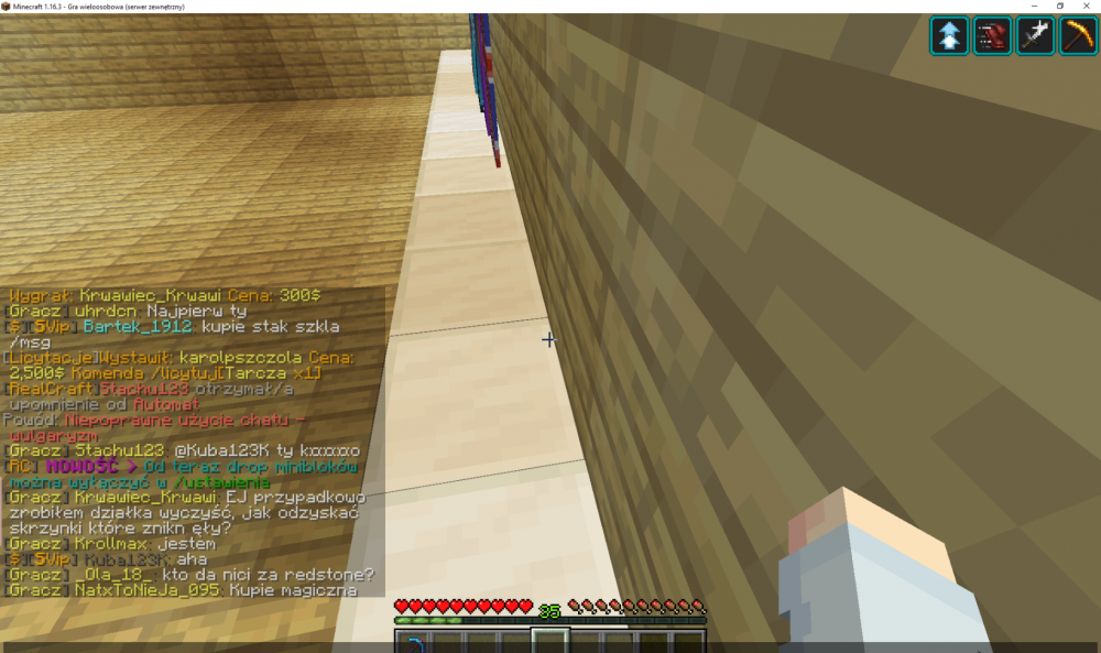 Minecraft 1.16.3 2021-03-17 17_12_37.png