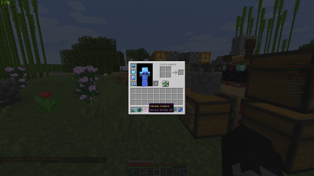 Zrzut ekranu (103).png