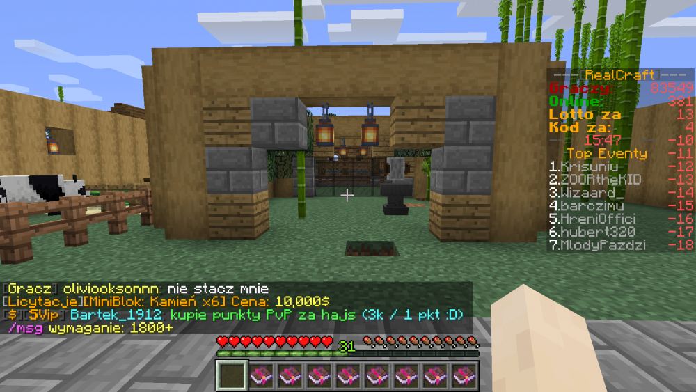 Zrzut ekranu (52).png