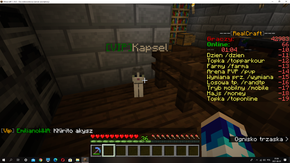 Zrzut ekranu (12).png