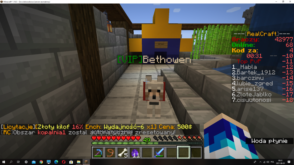 Zrzut ekranu (9).png