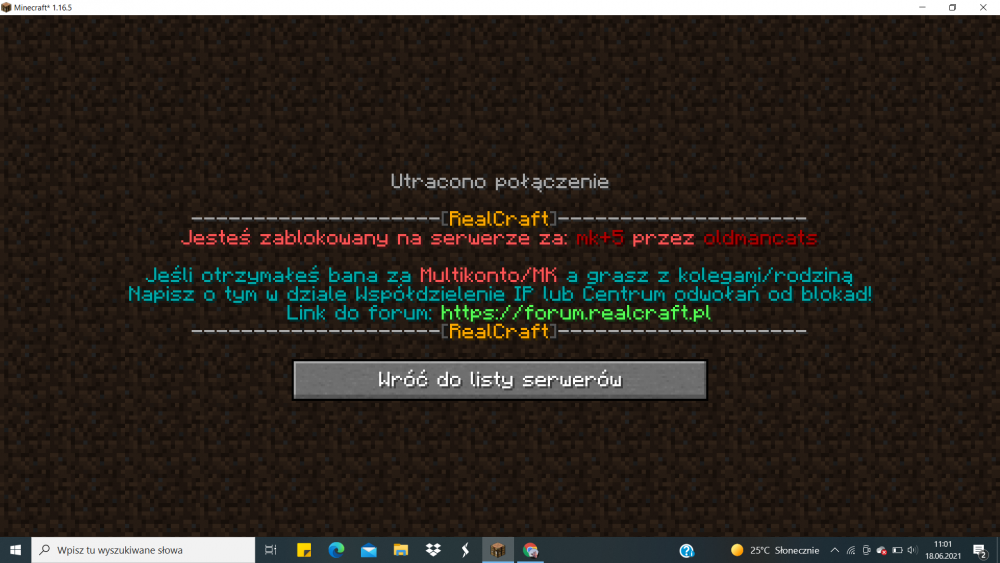 Zrzut ekranu (533).png