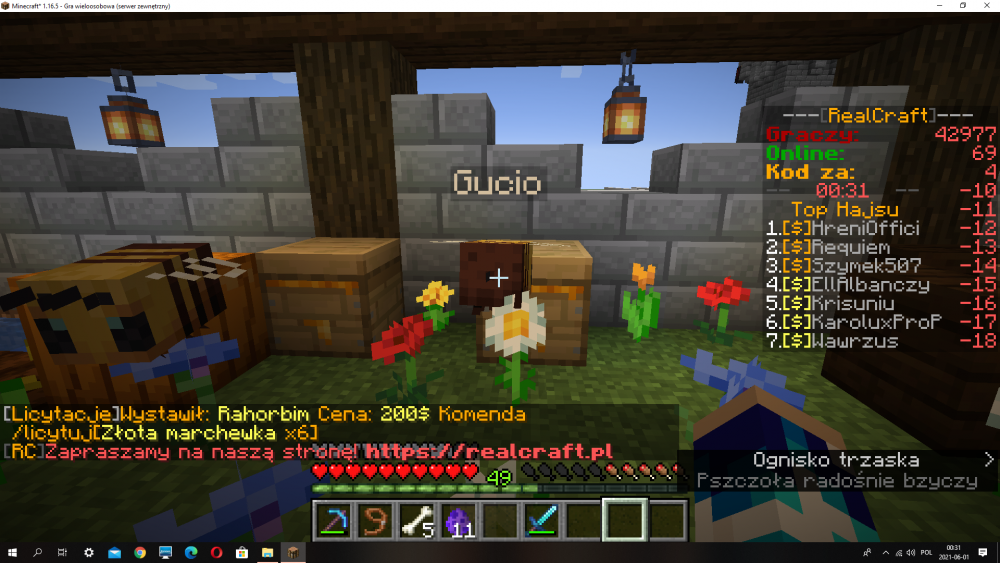 Zrzut ekranu (11).png