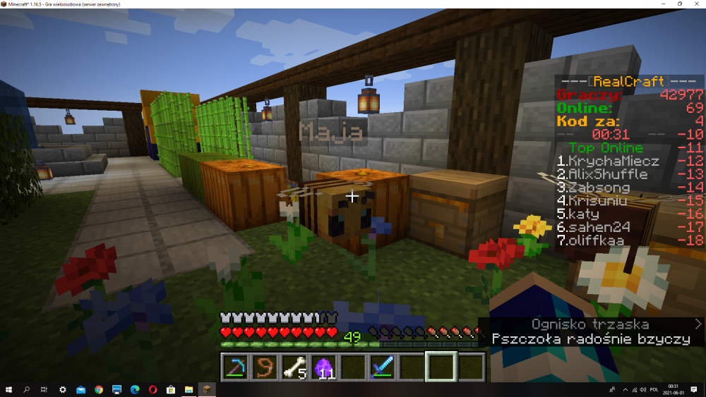 Zrzut ekranu (10).png