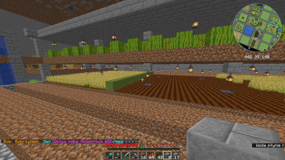 Minecraft_ 1.19.2 - Gra wieloosobowa (serwer zewnętrzny) 09.02.2023 23_27_56.png