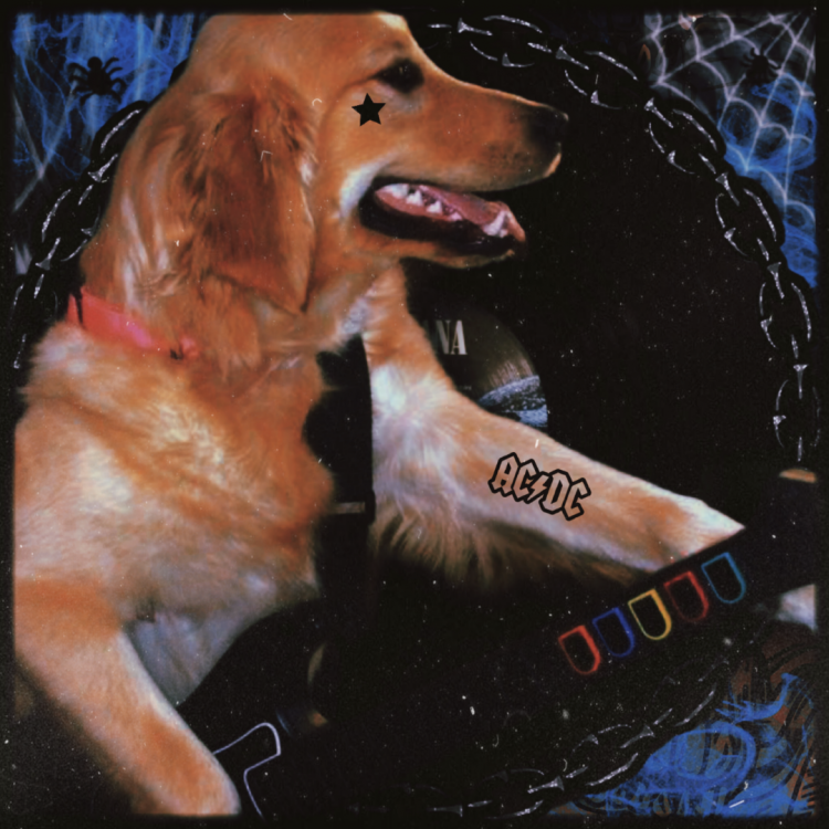 rockndog.png