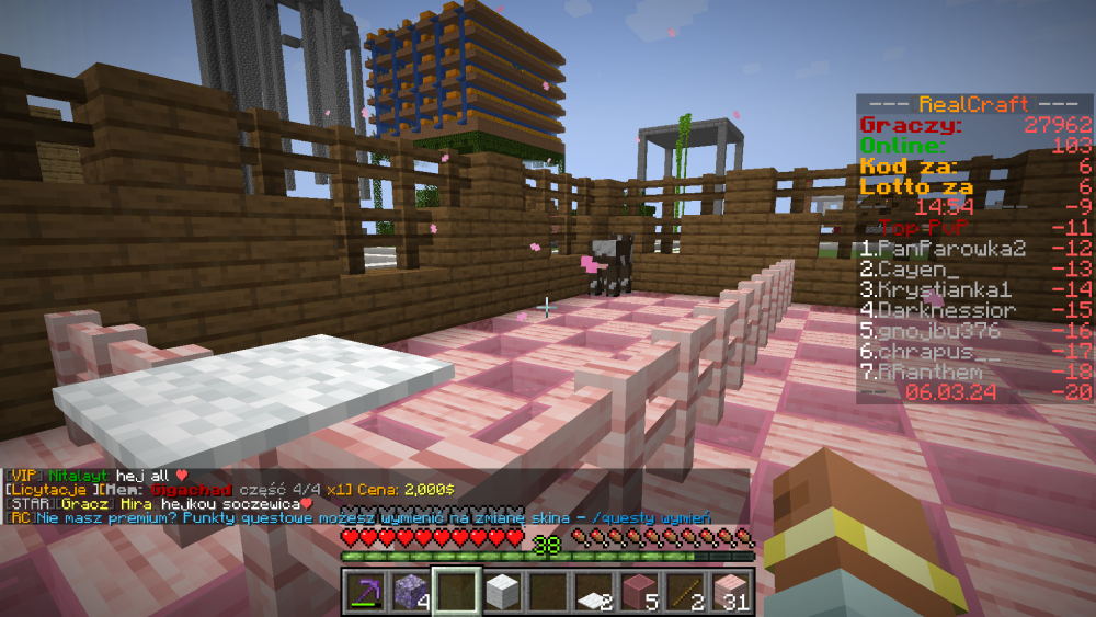 Zrzut ekranu (1039).png