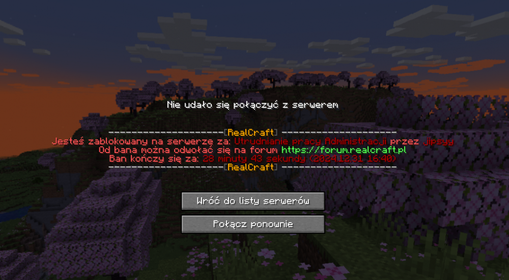 Zrzut ekranu 2024-12-31 161713.png