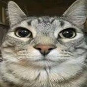 Adamisbignoob